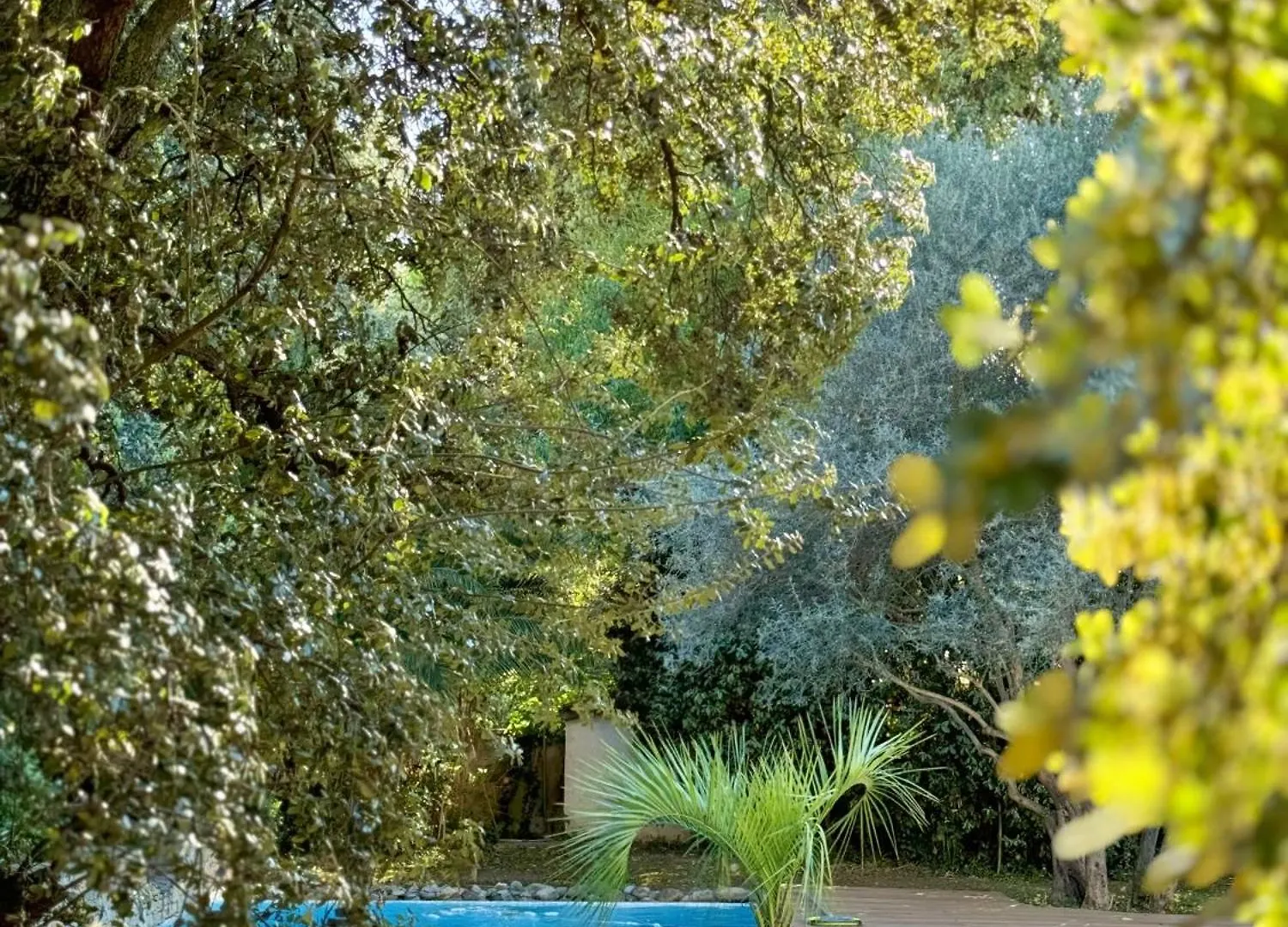 Villa D'Architecte Tout Confort, Piscine & Jardin Marseille